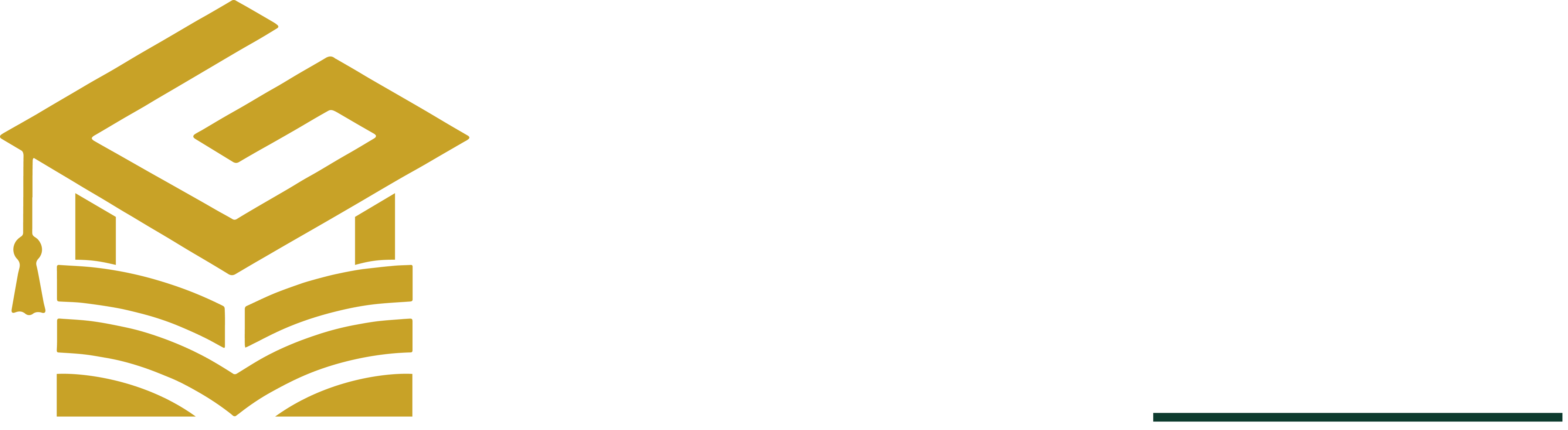 Gabriel Ezenri Foundation