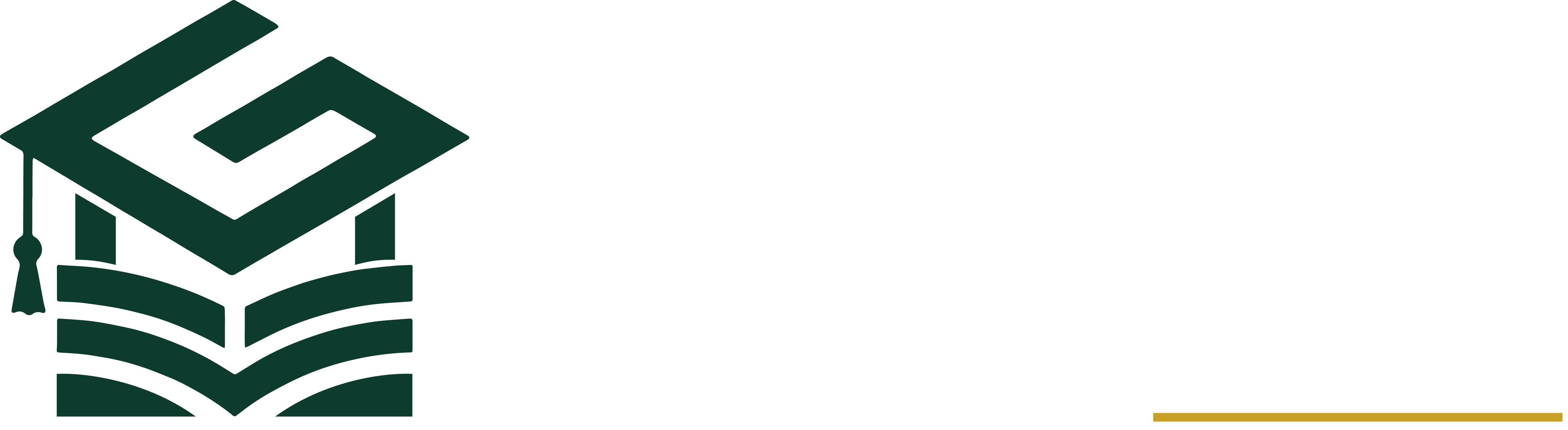 Gabriel Ezenri Foundation